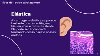 A cartilagem elástica se parece
bastante com a cartilagem
hialina, mas é mais resistente.
Ela pode ser encontrada
formando nosso nariz e nossas
orelhas.
Elástica
8
Tipos de Tecido cartilaginoso
 