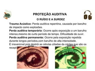 O RUÍDO E A SURDEZ
PROTEÇÃO AUDITIVA
Trauma Acústico: Perda auditiva repentina, causada por barulho
de impacto como explosões.
Perda auditiva temporária: Ocorre após exposição a um barulho
intenso,mesmo de curto período de tempo. Dificuldade de ouvir.
Perda auditiva permanente: Ocorre pela exposição repetida
durante longos períodos,com barulho de alta intensidade.
É irreversível,pois destrói as células ciliadas da cóclea que são os
receptores auditivos.
NORMA
L
DANIFICAD
A
 