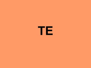 TE 