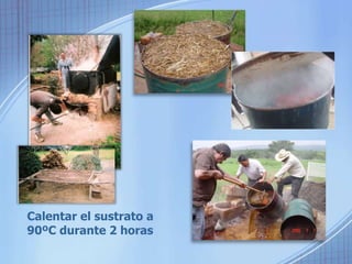 Calentar el sustrato a 
90ºC durante 2 horas 
 