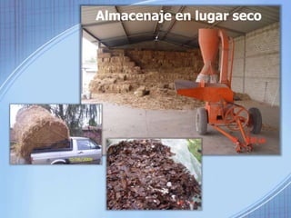 Almacenaje en lugar seco 
 