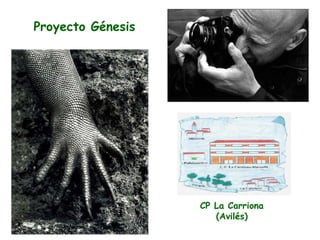 Proyecto Génesis CP La Carriona (Avilés) 