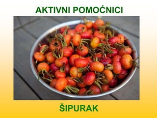 ŠIPURAK
AKTIVNI POMOĆNICI
 