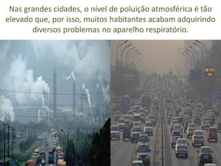 Nas grandes cidades, o nível de poluição atmosférica é tão
elevado que, por isso, muitos habitantes acabam adquirindo
diversos problemas no aparelho respiratório.
 