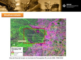 Biodiversidade
Área da Flona de Carajás no município de Parauapebas-PA, ano de 1980
Área da Flona de Carajás no município de Parauapebas-PA, ano de 2006 –PNM 2030
 