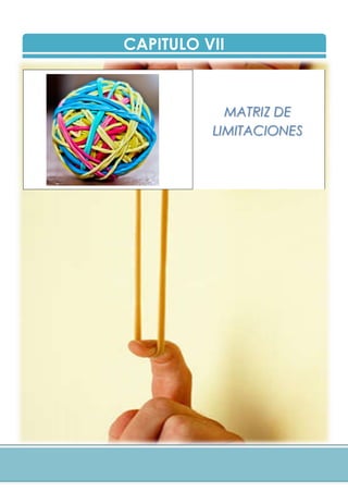 CAPITULO VII
MATRIZ DE
LIMITACIONES
 
