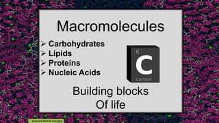 Macromolecules
 Carbohydrates
 Lipids
 Proteins
 Nucleic Acids
Building blocks
Of life
Science Is Real© by Ana Ulrich
 