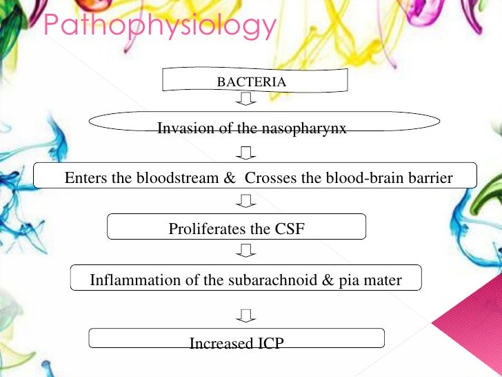 types of theoretical framework
