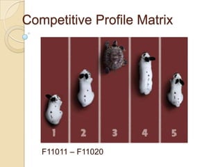 Competitive Profile Matrix




   F11011 – F11020
 