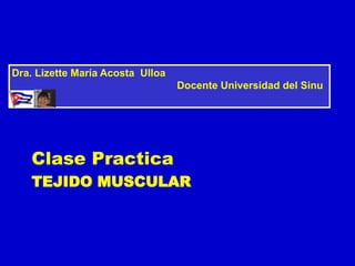 TEJIDO MUSCULAR
Clase Practica
Dra. Lizette María Acosta Ulloa
Docente Universidad del Sinu
 