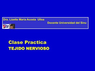TEJIDO NERVIOSO
Clase Practica
Dra. Lizette María Acosta Ulloa
Docente Universidad del Sinu
 