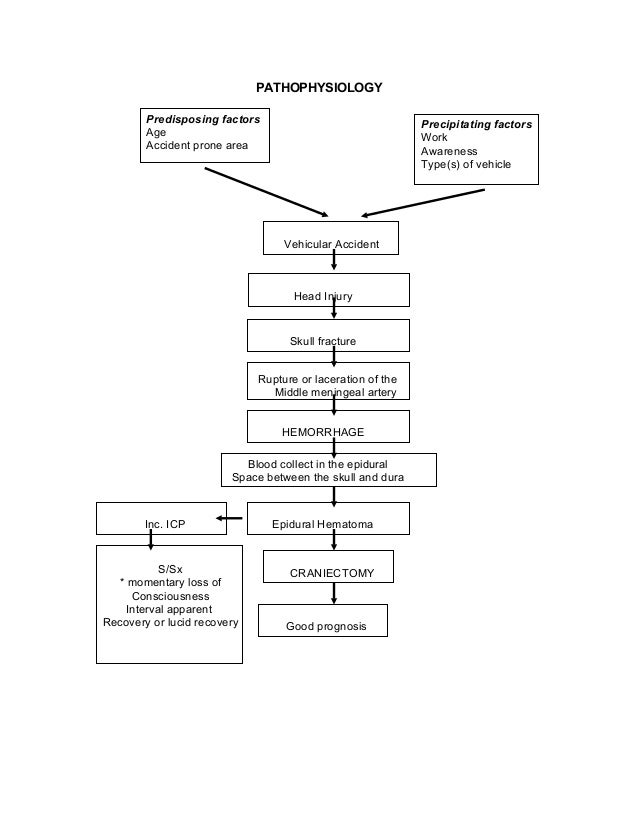 Cerebral Concussion:casepre artery diagram scalp 