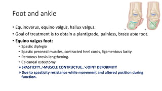 Foot and ankle
• Equinovarus, equino valgus, hallux valgus.
• Goal of treatment is to obtain a plantigrade, painless, brace able foot.
• Equino valgus foot:
• Spastic diplegia
• Spastic peroneal muscles, contracted heel cords, ligamentous laxity.
• Peroneus brevis lengthening.
• Calcaneal osteotomy
SPASTICITY..>MUSCLE CONTRUCTUE..>JOINT DEFORMITY
Due to spasticity resistance while movement and altered position during
function.
 