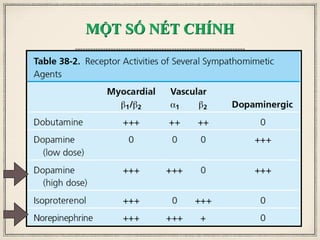 MỘT SỐ NÉT CHÍNH
 