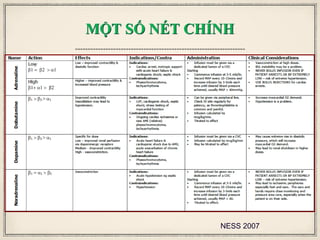 MỘT SỐ NÉT CHÍNH
NESS 2007
 
