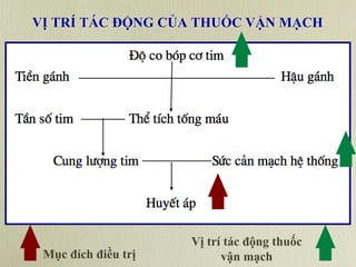 VỊ TRÍ TÁC ĐỘNG CỦA THUỐC VẬN MẠCH
Mục đích điều trị
Vị trí tác động thuốc
vận mạch
 