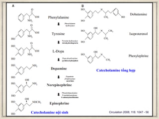 Catecholamine nội sinh
Catecholamine tổng hợp
Circulation 2008; 118: 1047 - 56
 