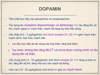 DOPAMIN
 Tiền chất trực tiếp của epinephrine và norepinephrine.
 Tác dụng lên receptors dopaminergic và adrenergic ==> tác động lên cả
tim, mạch ngoại vi, mạch thận, mạch nội tạng tùy theo liều dùng.
 Liều thấp (0,5 - 3 μg/kg/phút): kích thích receptor D1, D2 ==> giãn mạch thận,
mạch vành, mạc treo, mạch não.
 Lợi tiểu trực tiếp do tác dụng vào ống thận, tăng thải Natri.
 Tuy nhiên, không làm tăng MLCT và chưa được chứng minh có tác
dụng bảo vệ thận.
 Liều trung bình (3 - 10 μg/kg/phút): kích thích receptor β1 ==> tăng co bóp cơ
tim, tăng tần số tim, tăng nhẹ sức cản mạch hệ thống.
 Liều cao (10 - 20 μg/kg/phút): kích thích α1 gây co mạch mạnh
 