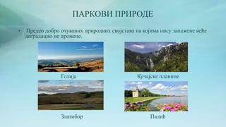 ПАРКОВИ ПРИРОДЕ
• Предео добро очуваних природних својстава на којима нису запажене веће
деградацио не промене.
Голија Кучајске планине
Златибор Палић
 
