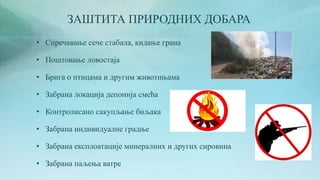 ЗАШТИТА ПРИРОДНИХ ДОБАРА
• Спречавање сече стабала, кидање грана
• Поштовање ловостаја
• Брига о птицама и другим животињама
• Забрана локација депонија смећа
• Контролисано сакупљање биљака
• Забрана индивидуалне градње
• Забрана експлоатације минералних и других сировина
• Забрана паљења ватре
 