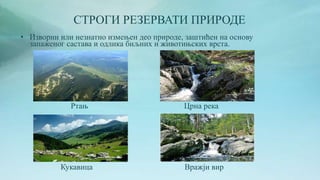 СТРОГИ РЕЗЕРВАТИ ПРИРОДЕ
• Изворни или незнатно измењен део природе, заштићен на основу
запаженог састава и одлика биљних и животињских врста.
Ртањ Црна река
Кукавица Вражји вир
 