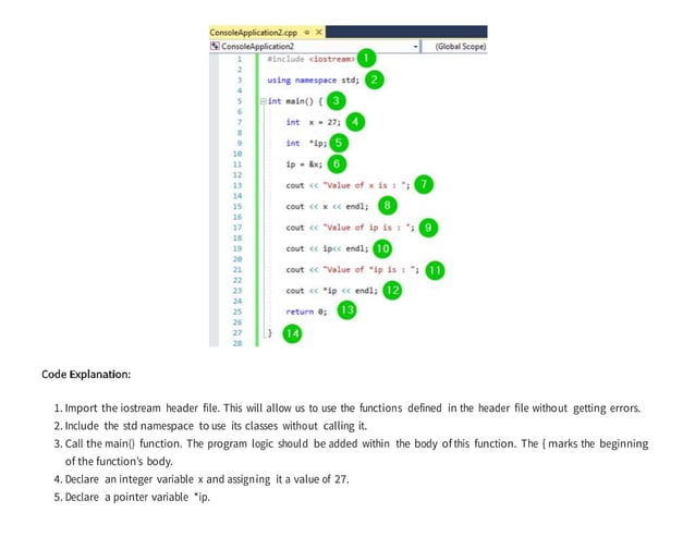 C++ Pointers with Examples.docx