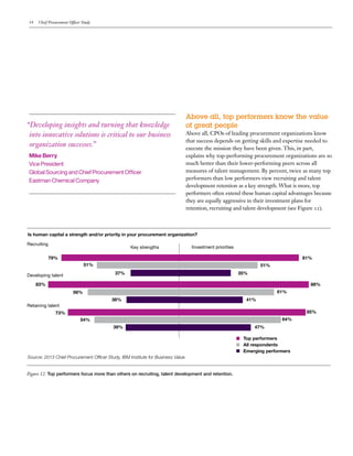 Chief Procurement Officer Study May 2013