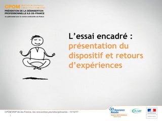 L’essai encadré :
présentation du
dispositif et retours
d’expériences
1
CPOM PDP Ile-de-France, les rencontres pluridisciplinaires - 11/12/17
 