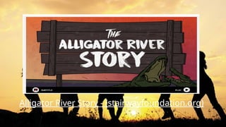 Alligator River Story - (stairwayfoundation.org)
 