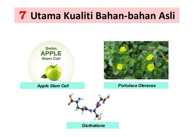 Cpp bm slide