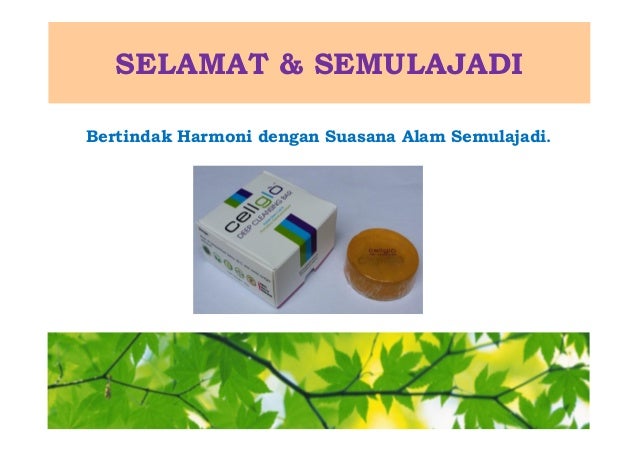 Cpp bm slide