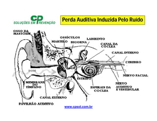 www.cpsol.com.br
Perda Auditiva Induzida Pelo Ruído
 