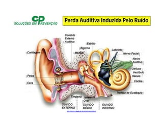 www.cpsol.com.br
Perda Auditiva Induzida Pelo Ruído
 