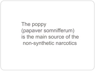 The poppy
(papaver somnifferum)
is the main source of the
non-synthetic narcotics
 