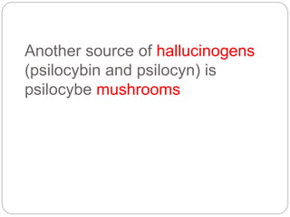 Another source of hallucinogens
(psilocybin and psilocyn) is
psilocybe mushrooms
 