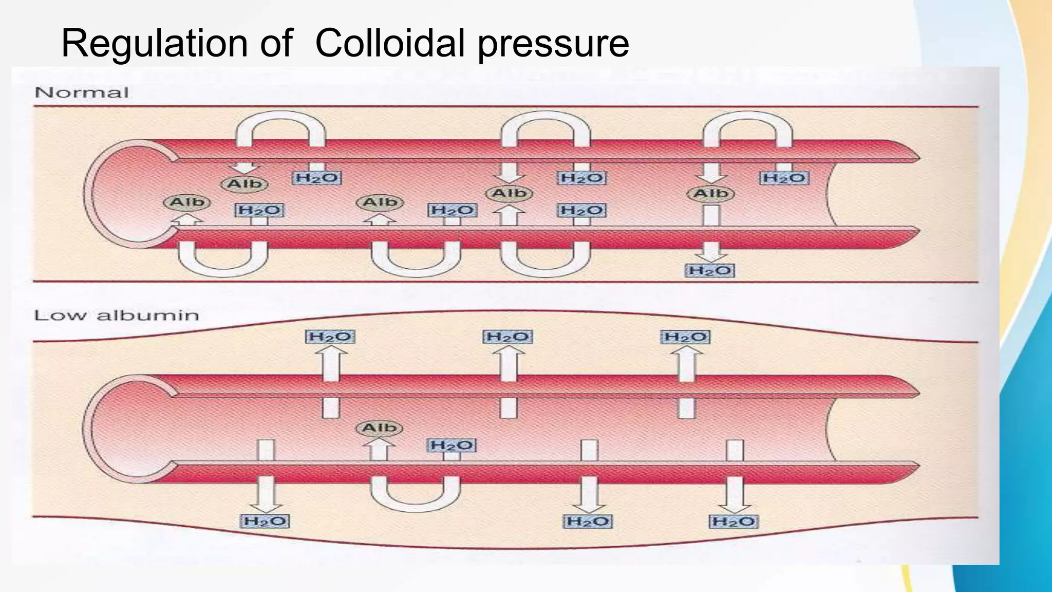 Regulation of Colloidal pressure
 