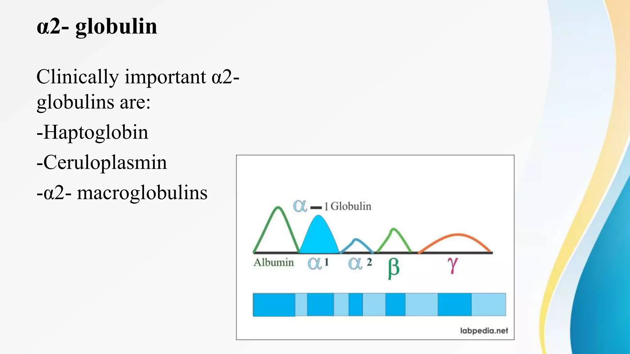 α2- globulin
Clinically important α2-
globulins are:
-Haptoglobin
-Ceruloplasmin
-α2- macroglobulins
 