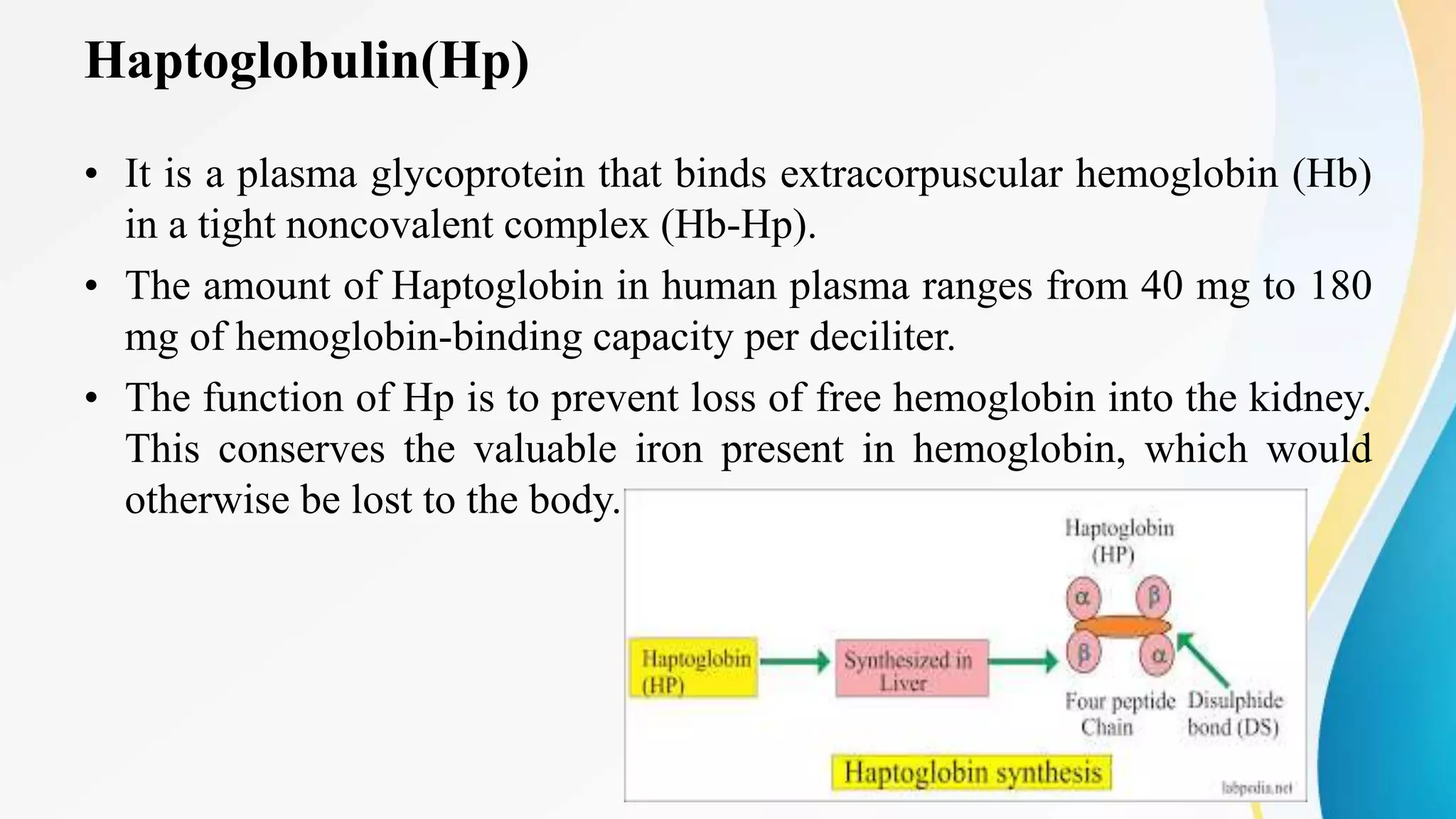 Haptoglobulin(Hp)
• It is a plasma glycoprotein that binds extracorpuscular hemoglobin (Hb)
in a tight noncovalent complex (Hb-Hp).
• The amount of Haptoglobin in human plasma ranges from 40 mg to 180
mg of hemoglobin-binding capacity per deciliter.
• The function of Hp is to prevent loss of free hemoglobin into the kidney.
This conserves the valuable iron present in hemoglobin, which would
otherwise be lost to the body.
 
