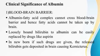 Clinical Significance of Albumin
1)BLOOD-BRAIN BARRIER:
 Albumin-fatty acid complex cannot cross blood-brain
barrier and hence fatty acids cannot be taken up by
brain.
 Loosely bound bilirubin to albumin can be easily
replaced by drugs like aspirin
 In new born if such drugs are given, the released
bilirubin gets deposited in brain causing Kernicterus.
 