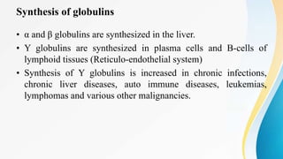 Synthesis of globulins
• α and β globulins are synthesized in the liver.
• Y globulins are synthesized in plasma cells and B-cells of
lymphoid tissues (Reticulo-endothelial system)
• Synthesis of Y globulins is increased in chronic infections,
chronic liver diseases, auto immune diseases, leukemias,
lymphomas and various other malignancies.
 