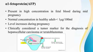 α1-fetoprotein(AFP)
• Present in high concentration in fetal blood during mid
pregnancy
• Normal concentration in healthy adult-< 1µg/100ml
• Level increases during pregnancy
• Clinically considered a tumor marker for the diagnosis of
hepatocellular carcinoma or teratoblastomas
 
