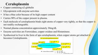 Ceruloplasmin
• Copper containing α2-globulin
• Glycoprotein with enzyme activities
• It has a blue color because of its high copper content
• Carries 90% of the copper present in plasma.
• Each molecule of ceruloplasmin binds eight atoms of copper very tightly, so that the copper is
not readily exchangeable.
• Normal plasma concentration approximately 30mg/dL
• Enzyme activities are Ferroxidase, copper oxidase and Histaminase.
• Synthesized in liver in the form of apo ceruloplasmin, when copper atoms get attached it
becomes Ceruloplasmin.
 