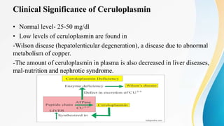 Clinical Significance of Ceruloplasmin
• Normal level- 25-50 mg/dl
• Low levels of ceruloplasmin are found in
-Wilson disease (hepatolenticular degeneration), a disease due to abnormal
metabolism of copper.
-The amount of ceruloplasmin in plasma is also decreased in liver diseases,
mal-nutrition and nephrotic syndrome.
 