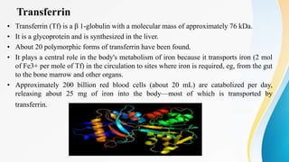 Transferrin
• Transferrin (Tf) is a β 1-globulin with a molecular mass of approximately 76 kDa.
• It is a glycoprotein and is synthesized in the liver.
• About 20 polymorphic forms of transferrin have been found.
• It plays a central role in the body's metabolism of iron because it transports iron (2 mol
of Fe3+ per mole of Tf) in the circulation to sites where iron is required, eg, from the gut
to the bone marrow and other organs.
• Approximately 200 billion red blood cells (about 20 mL) are catabolized per day,
releasing about 25 mg of iron into the body—most of which is transported by
transferrin.
 