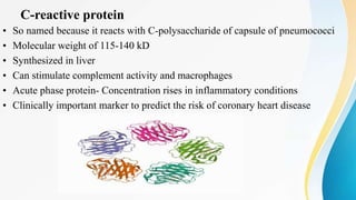 C-reactive protein
• So named because it reacts with C-polysaccharide of capsule of pneumococci
• Molecular weight of 115-140 kD
• Synthesized in liver
• Can stimulate complement activity and macrophages
• Acute phase protein- Concentration rises in inflammatory conditions
• Clinically important marker to predict the risk of coronary heart disease
 