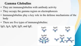 Gamma Globulins
• They are immunoglobulins with antibody activity
• They occupy the gamma region on electrophoresis
• Immunoglobulins play a key role in the defense mechanisms of the
body
• There are five types of immunoglobulins:
IgG, IgA, IgM, IgD, and IgE.
 