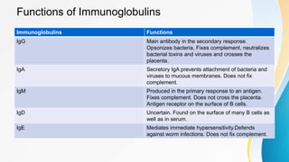 Functions of Immunoglobulins
Immunoglobulins Functions
IgG Main antibody in the secondary response.
Opsonizes bacteria, Fixes complement, neutralizes
bacterial toxins and viruses and crosses the
placenta.
IgA Secretory IgA prevents attachment of bacteria and
viruses to mucous membranes. Does not fix
complement.
IgM Produced in the primary response to an antigen.
Fixes complement. Does not cross the placenta.
Antigen receptor on the surface of B cells.
IgD Uncertain. Found on the surface of many B cells as
well as in serum.
IgE Mediates immediate hypersensitivity.Defends
against worm infections. Does not fix complement.
 