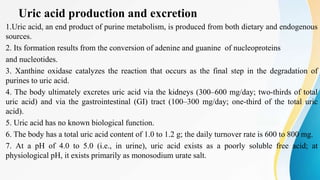 Uric acid production and excretion
1.Uric acid, an end product of purine metabolism, is produced from both dietary and endogenous
sources.
2. Its formation results from the conversion of adenine and guanine of nucleoproteins
and nucleotides.
3. Xanthine oxidase catalyzes the reaction that occurs as the final step in the degradation of
purines to uric acid.
4. The body ultimately excretes uric acid via the kidneys (300–600 mg/day; two-thirds of total
uric acid) and via the gastrointestinal (GI) tract (100–300 mg/day; one-third of the total uric
acid).
5. Uric acid has no known biological function.
6. The body has a total uric acid content of 1.0 to 1.2 g; the daily turnover rate is 600 to 800 mg.
7. At a pH of 4.0 to 5.0 (i.e., in urine), uric acid exists as a poorly soluble free acid; at
physiological pH, it exists primarily as monosodium urate salt.
 