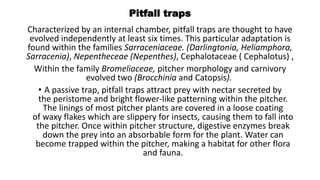 Pitfall traps
Characterized by an internal chamber, pitfall traps are thought to have
evolved independently at least six times. This particular adaptation is
found within the families Sarraceniaceae. (Darlingtonia, Heliamphora,
Sarracenia), Nepentheceae (Nepenthes), Cephalotaceae ( Cephalotus) ,
Within the family Bromeliaceae, pitcher morphology and carnivory
evolved two (Brocchinia and Catopsis).
• A passive trap, pitfall traps attract prey with nectar secreted by
the peristome and bright flower-like patterning within the pitcher.
The linings of most pitcher plants are covered in a loose coating
of waxy flakes which are slippery for insects, causing them to fall into
the pitcher. Once within pitcher structure, digestive enzymes break
down the prey into an absorbable form for the plant. Water can
become trapped within the pitcher, making a habitat for other flora
and fauna.
 