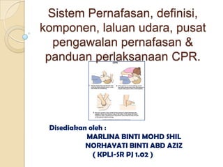 Sistem Pernafasan, definisi,
komponen, laluan udara, pusat
  pengawalan pernafasan &
 panduan perlaksanaan CPR.




 Disediakan oleh :
           MARLINA BINTI MOHD SHIL
           NORHAYATI BINTI ABD AZIZ
             ( KPLI-SR PJ 1.02 )
 